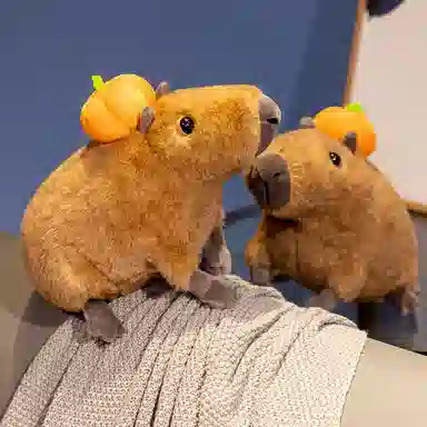 lionf 30cm