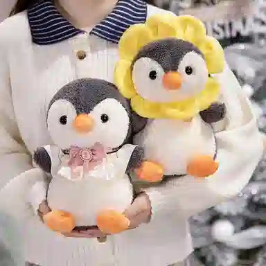 25cm35cm