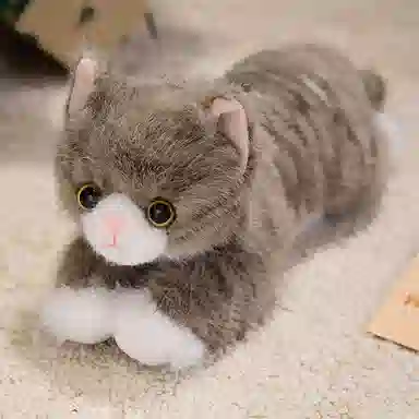 40cm