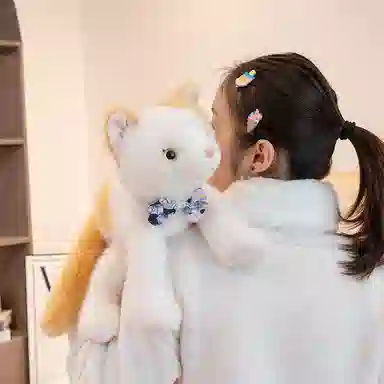 lionf 25cm35cm
