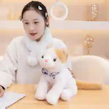 lionf 25cm35cm