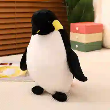 40cm50cm60cm80cm
