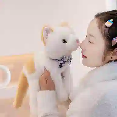 lionf 25cm35cm