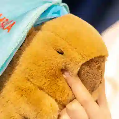 lionf 18cm