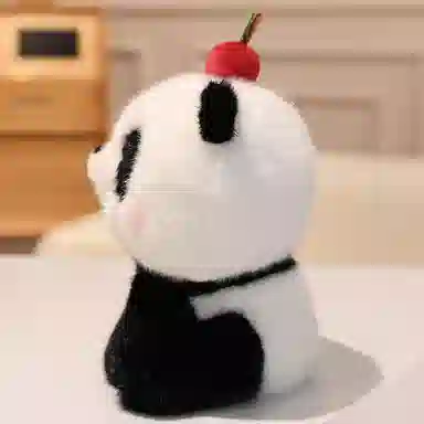 20cm