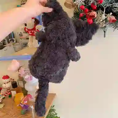 lionf 25cm