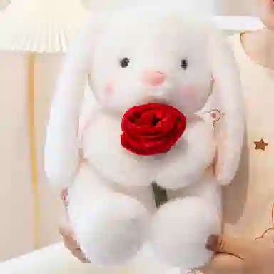 25cm35cm
