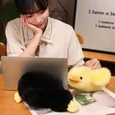 lionf 30cm50cm65cm