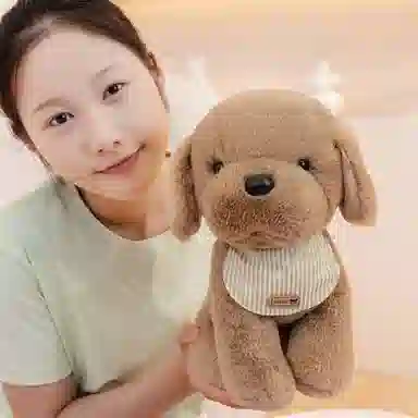 lionf 22cm30cm
