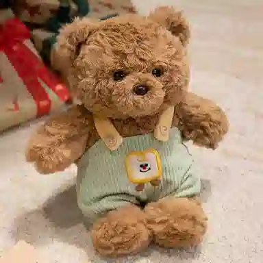 lionf 25cm