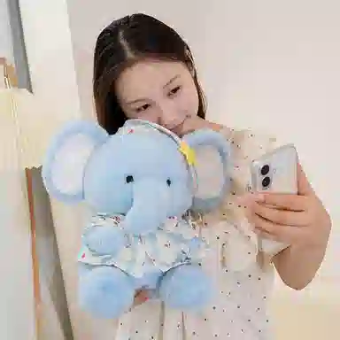 22cm30cm