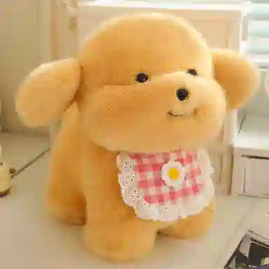 lionf 3 20cm30cm