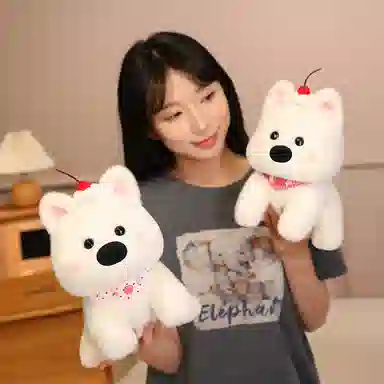 lionf 25cm