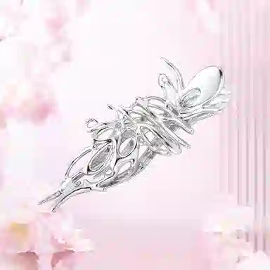 KOOKISS