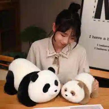 25cm35cm45cm