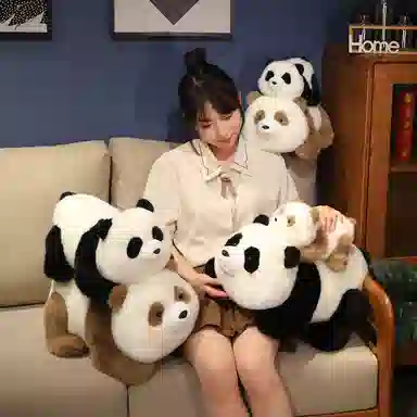 25cm35cm45cm