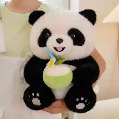 25cm35cm