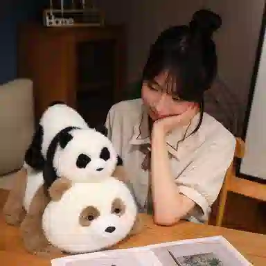 25cm35cm45cm