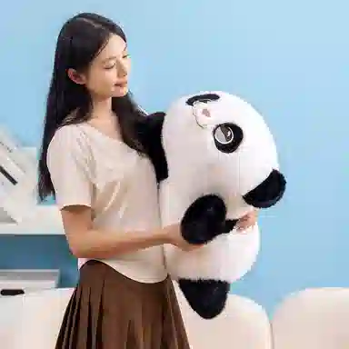50cm60cm