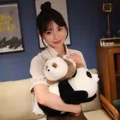 25cm35cm45cm