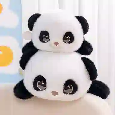 50cm60cm