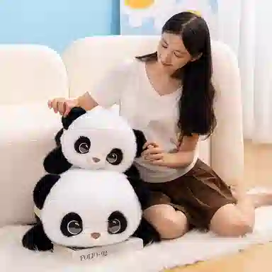 50cm60cm
