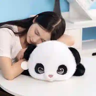 50cm60cm