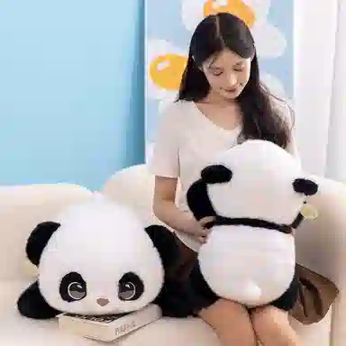 50cm60cm