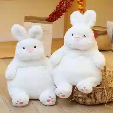 45cm55cm70cm