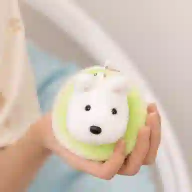 10cm