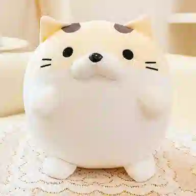 20cm