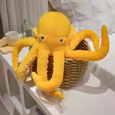 30cm50cm