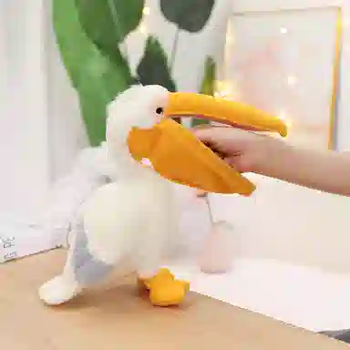 30cm