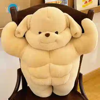 50cm
