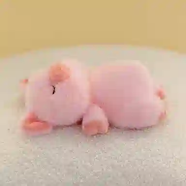 19cm