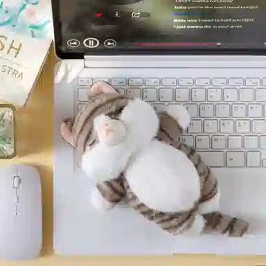 19cm