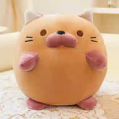20cm