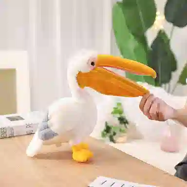30cm