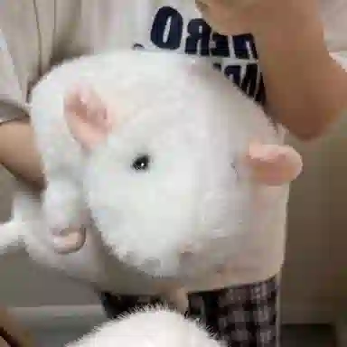 35cm50cm