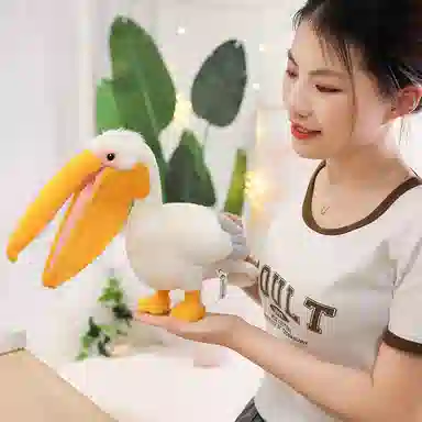 30cm