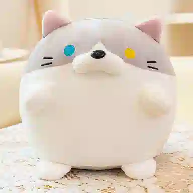 20cm