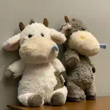 40cm60cm