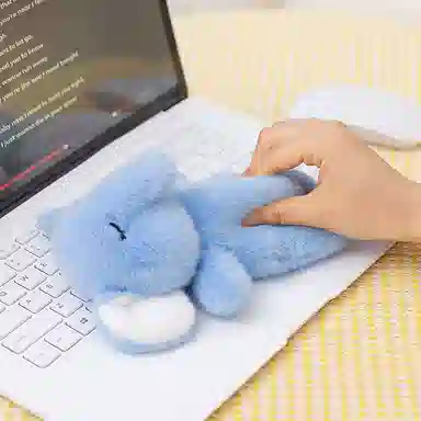 19cm