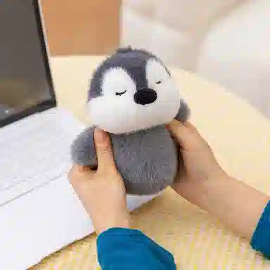 19cm