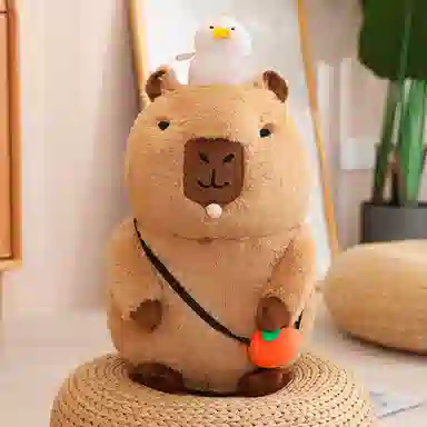 20cm
