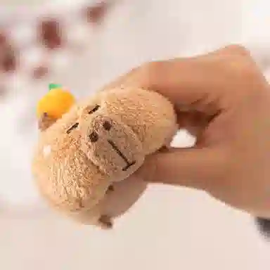 8cm10cm