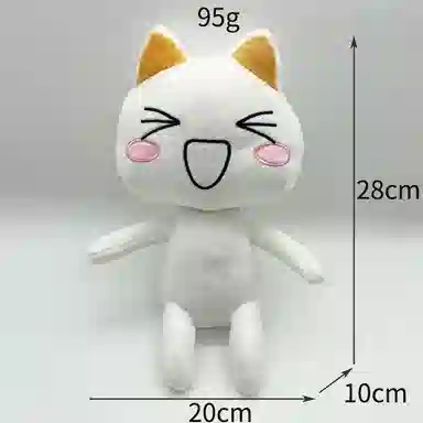 28cm
