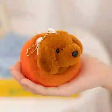 10cm