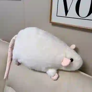 35cm50cm