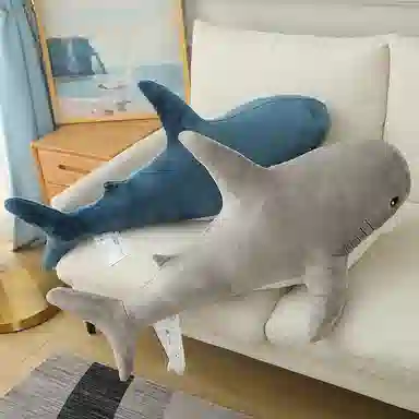 60cm100cm